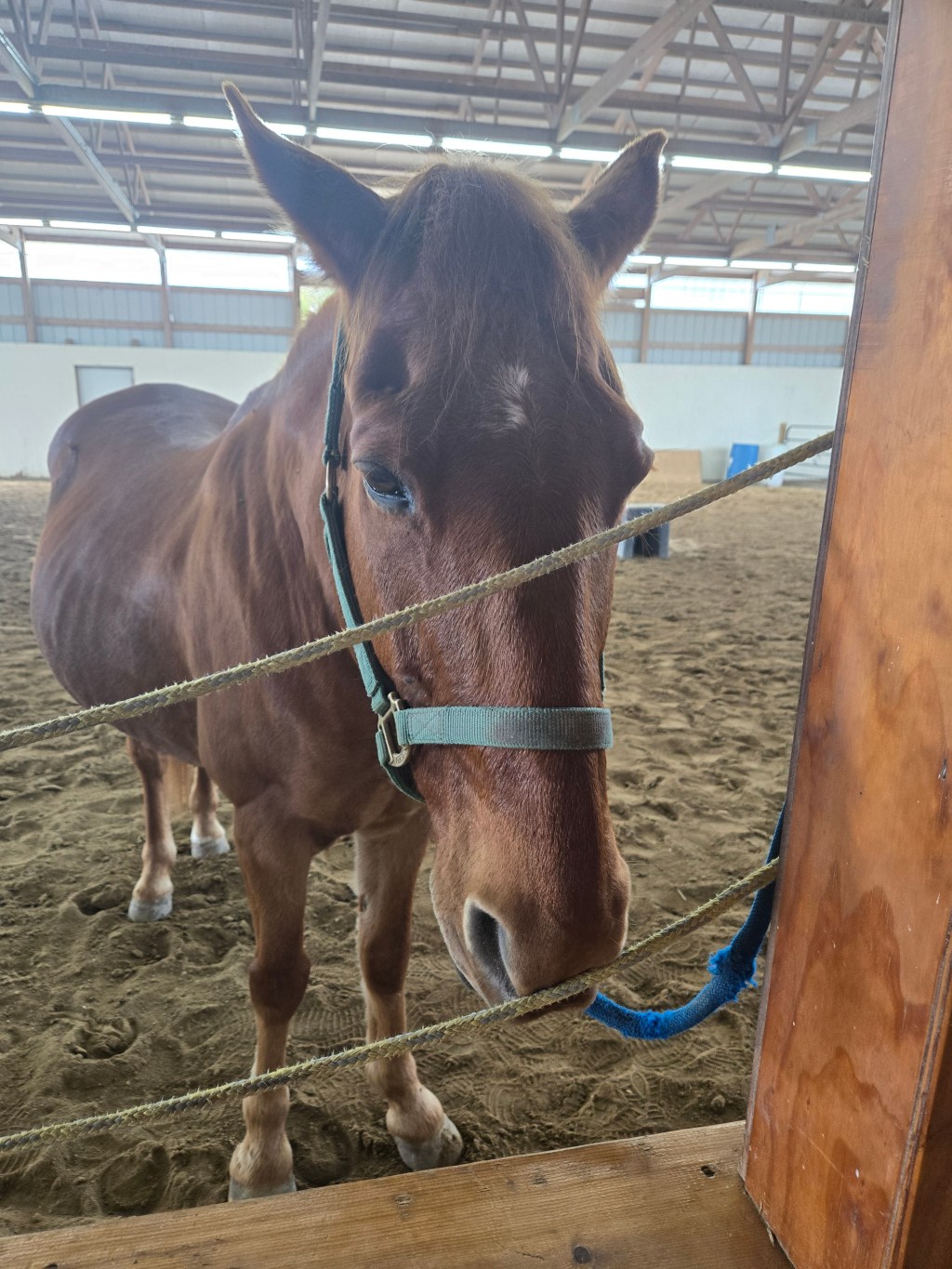 Knowledge or Learning